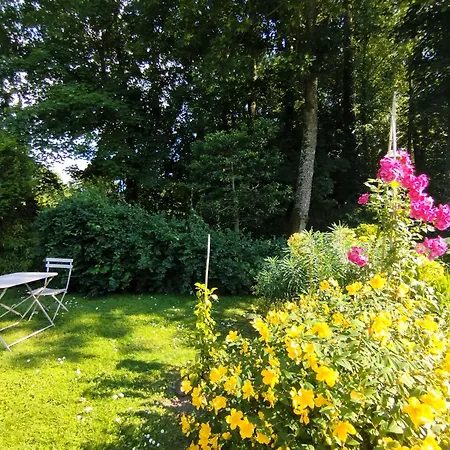 Bed and Breakfast Bethanie Firfol