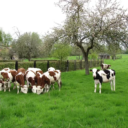 Bed and Breakfast Bethanie Firfol