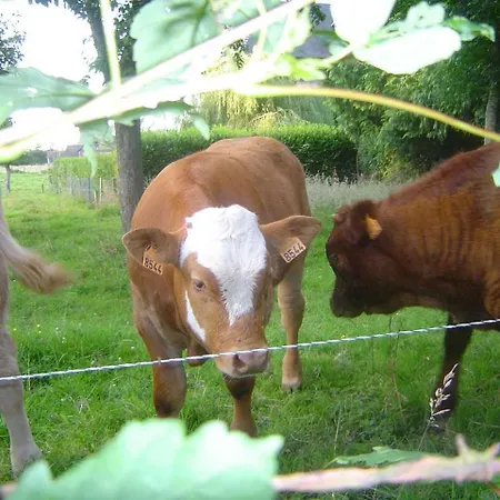 Bed and Breakfast Bethanie