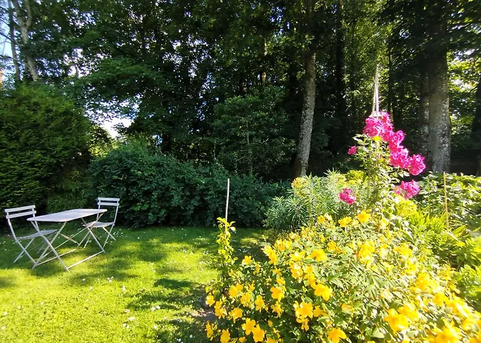 Bed & Breakfast Bethanie Firfol