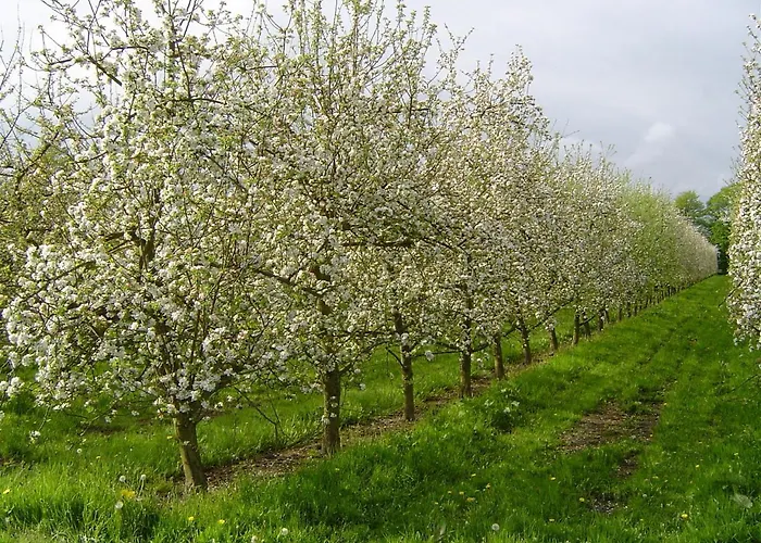 Bethanie Bed & Breakfast Firfol